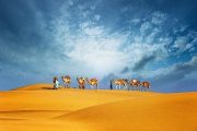 desert-safari-in-dubai