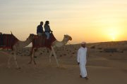 early-morning-desert-safari morning desert safari dubai camel riding