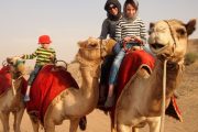 morning desert safari dubai camel ride