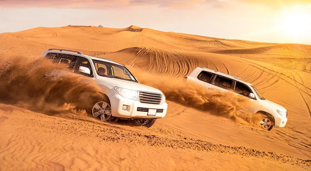 self drive desert safari