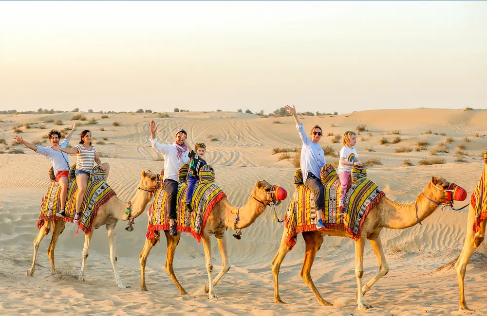 dubai camel safari