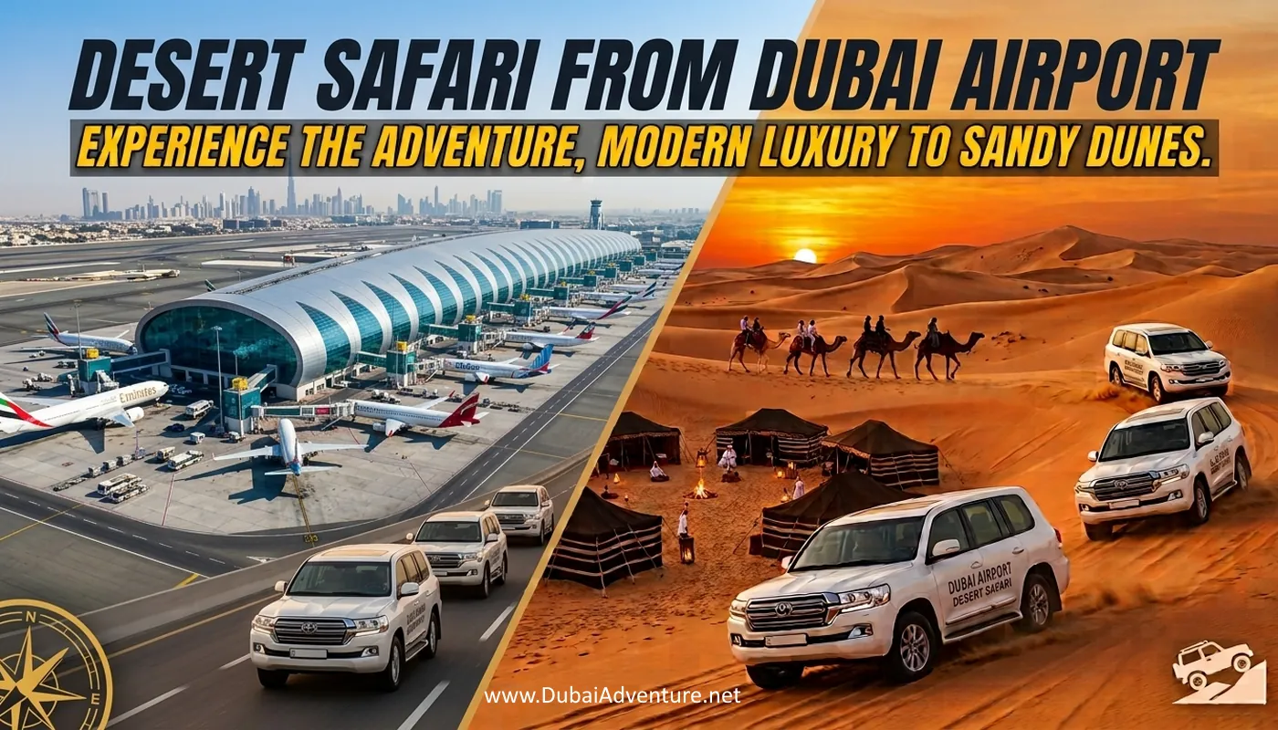 desert safari from Dubai airport